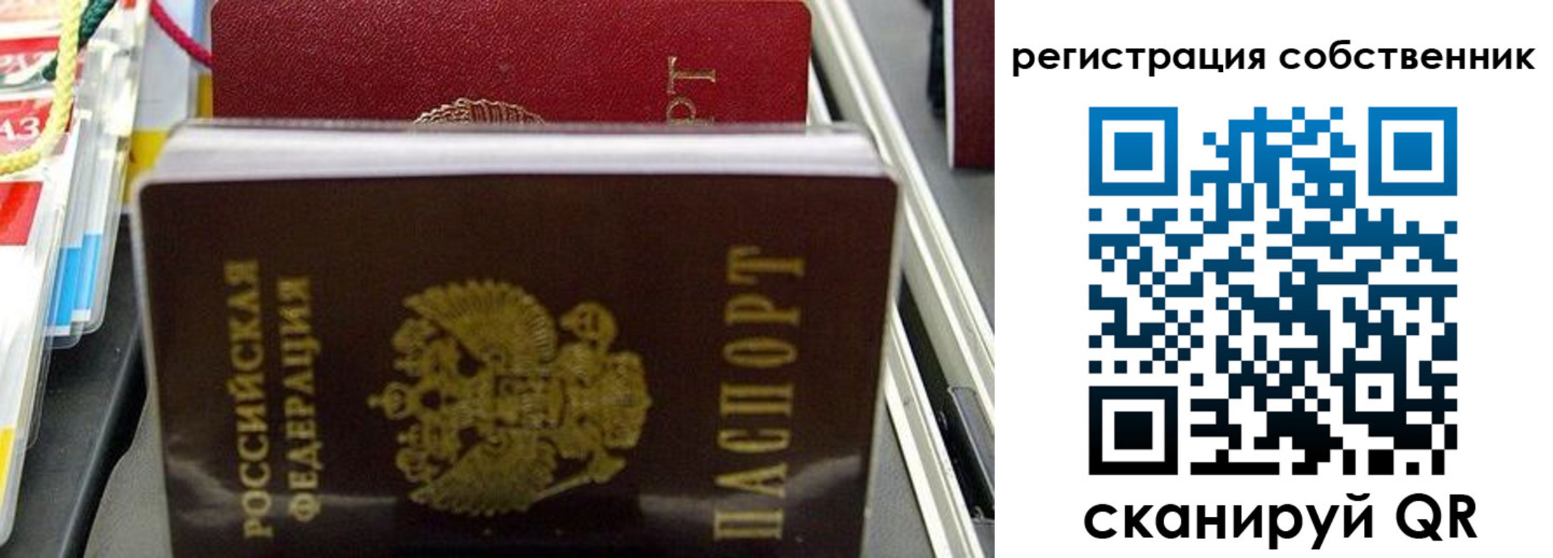 временная регистрация поиск в Тереке